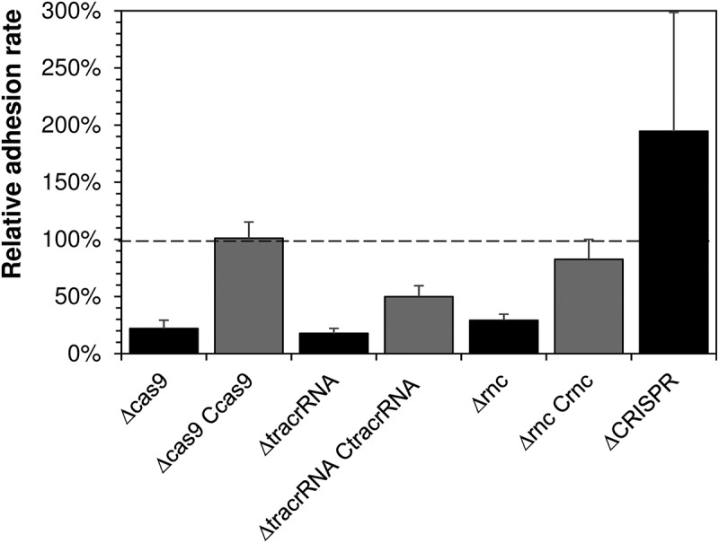 Figure 2.