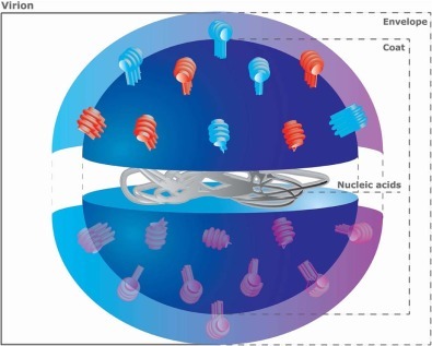 Fig. 2