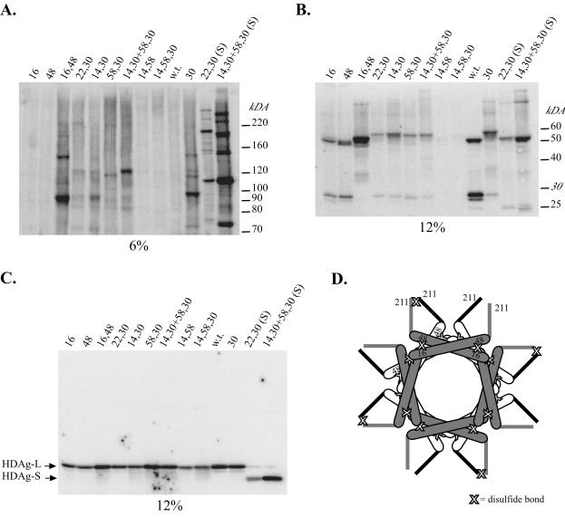 FIG. 6.