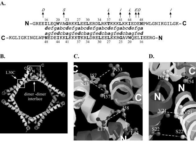 FIG. 1.