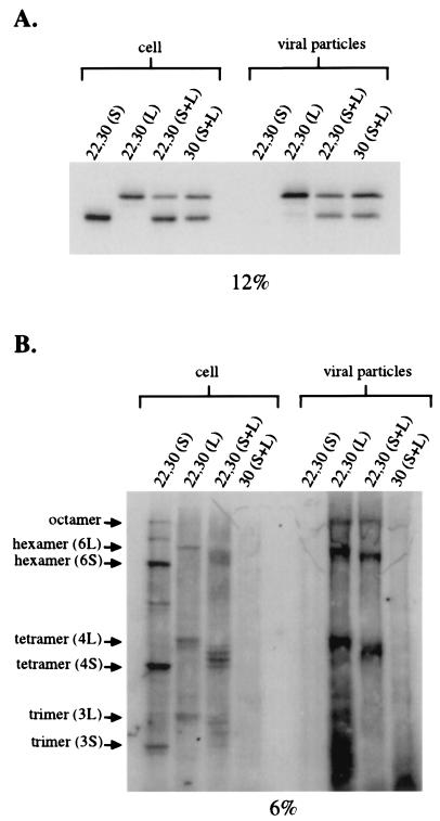 FIG. 7.