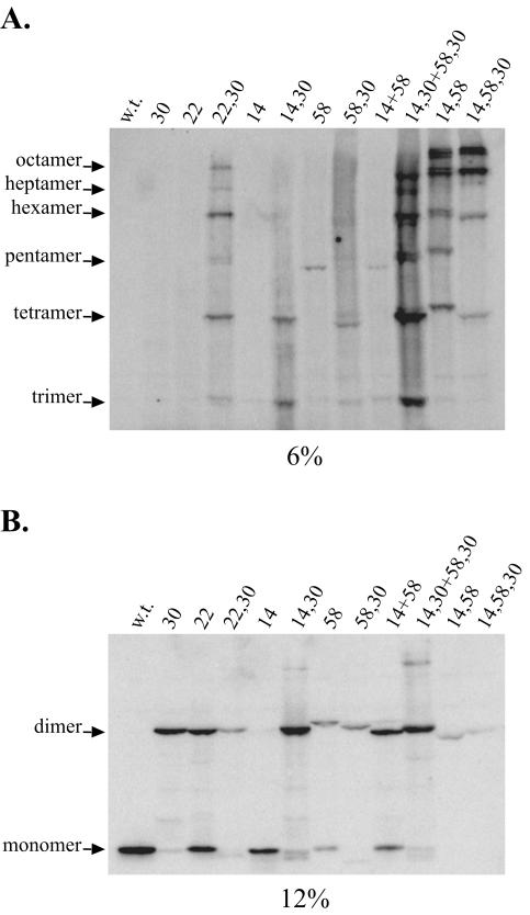 FIG. 4.