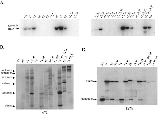 FIG. 5.