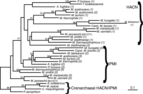 FIGURE 6.