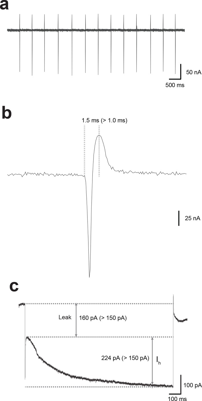 Figure 1—figure supplement 1.