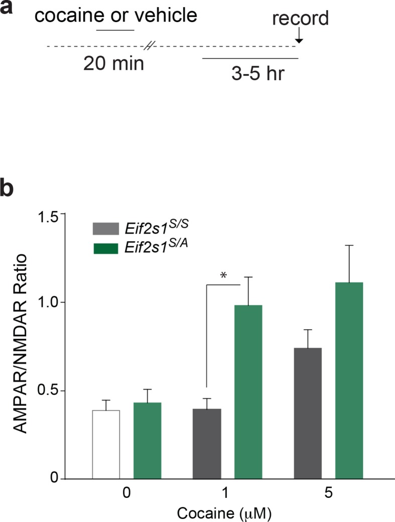 Figure 3—figure supplement 2.