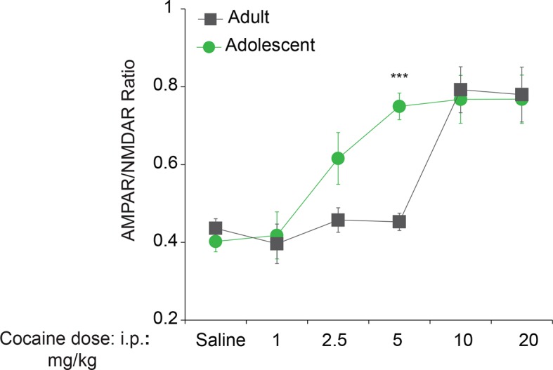 Figure 1—figure supplement 2.