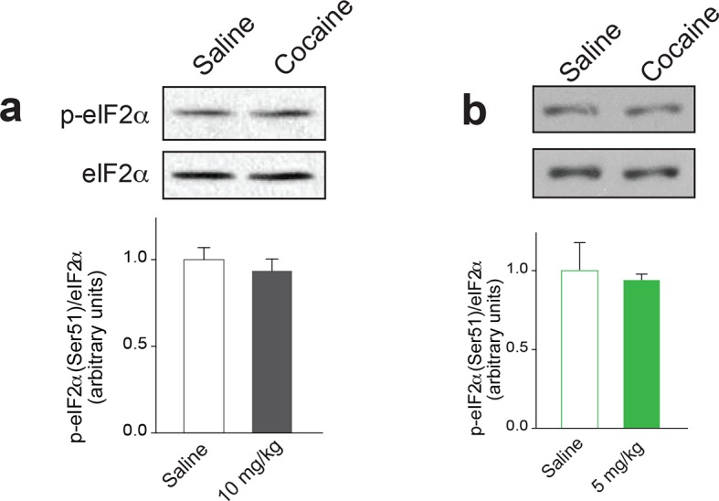 Figure 2—figure supplement 1.