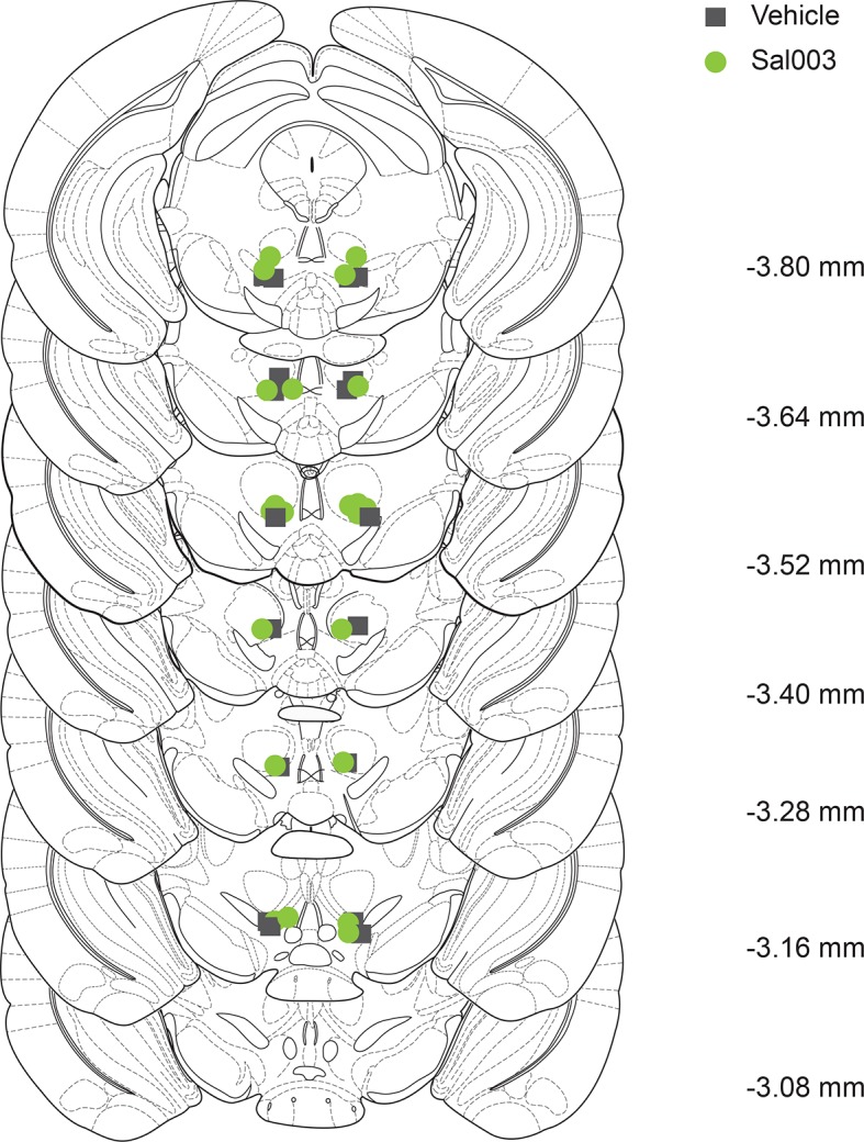 Figure 4—figure supplement 1.