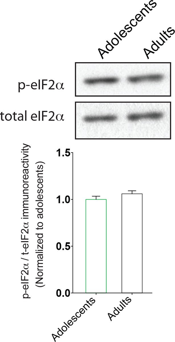 Figure 1—figure supplement 4.