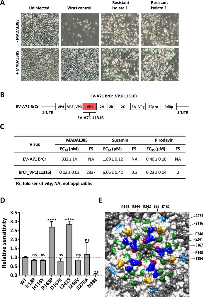 Fig 2