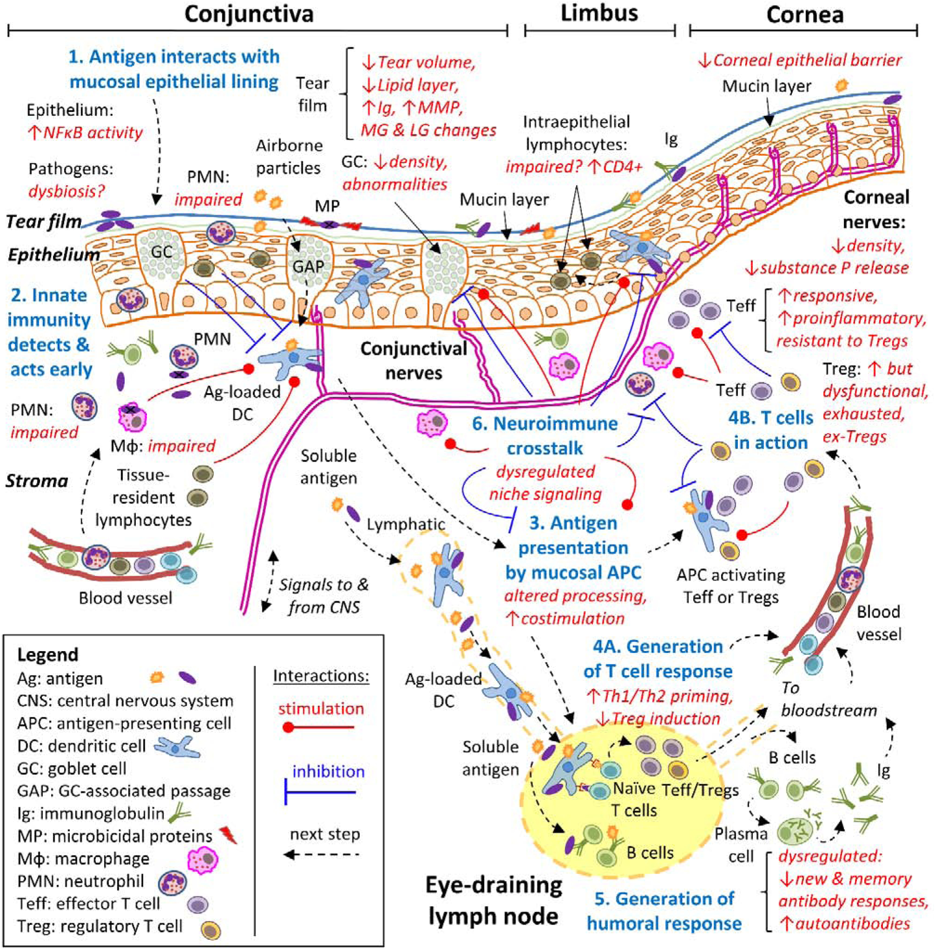 Figure 4: