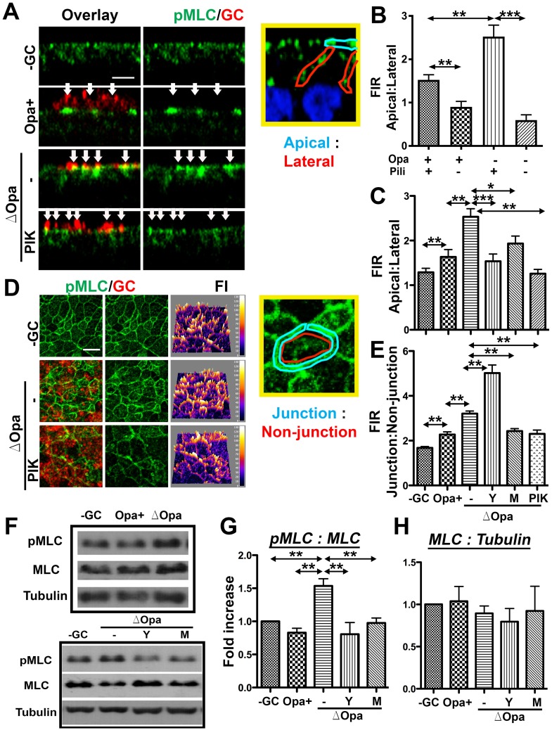 Fig 6