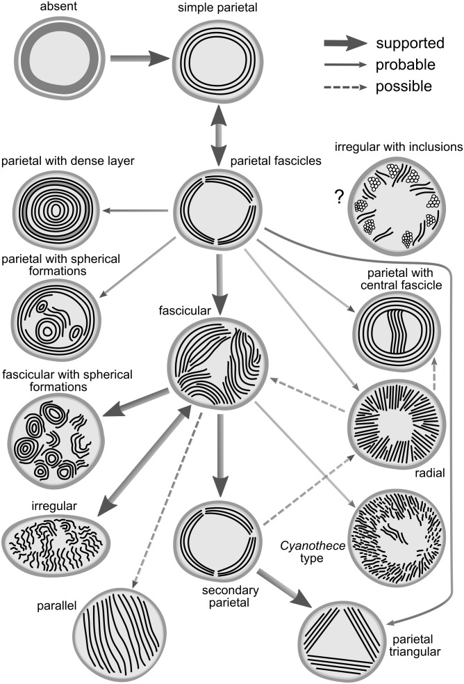 FIGURE 10