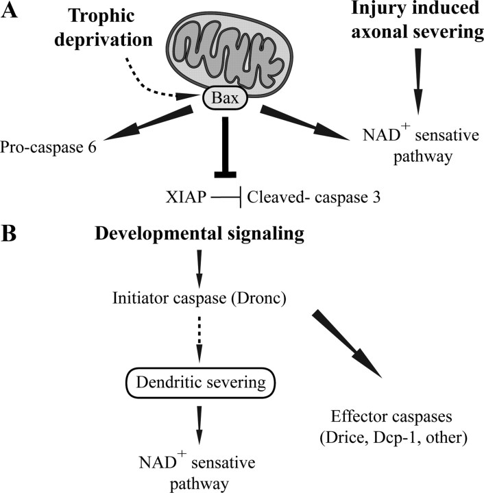 Figure 10.