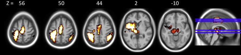 Fig. S1