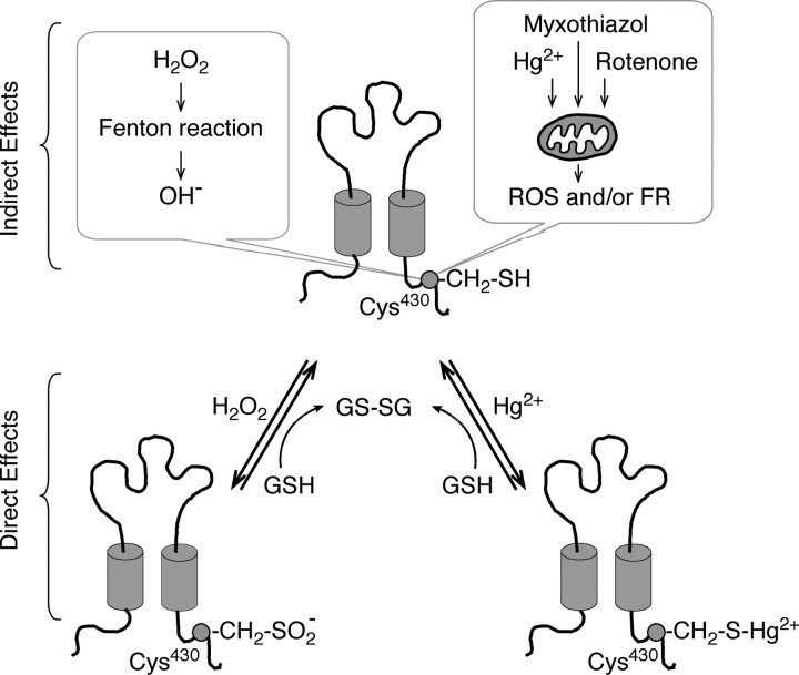 Figure 7.