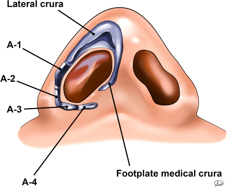 Fig. 8