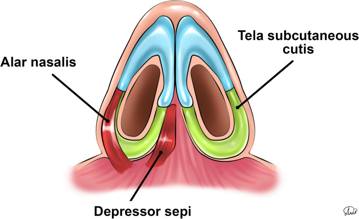 Fig. 12