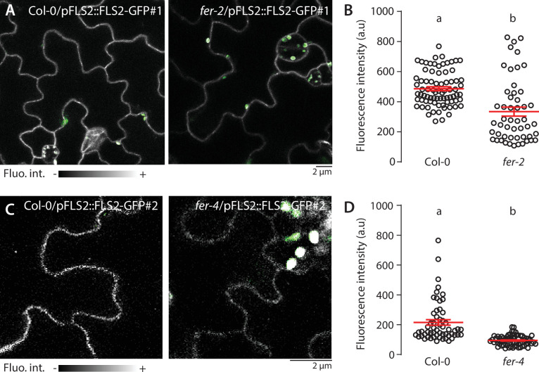 Figure 1—figure supplement 3.