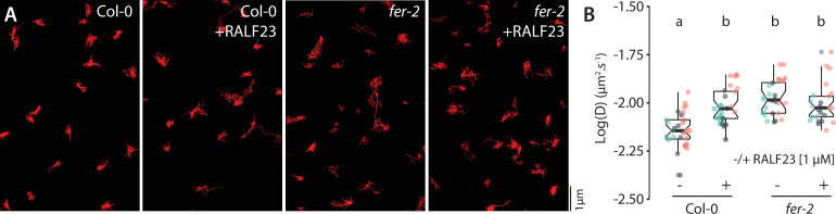 Figure 4—figure supplement 3.