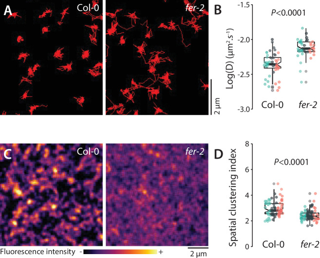 Figure 1—figure supplement 2.