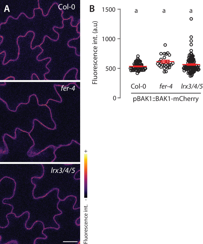 Figure 2—figure supplement 1.