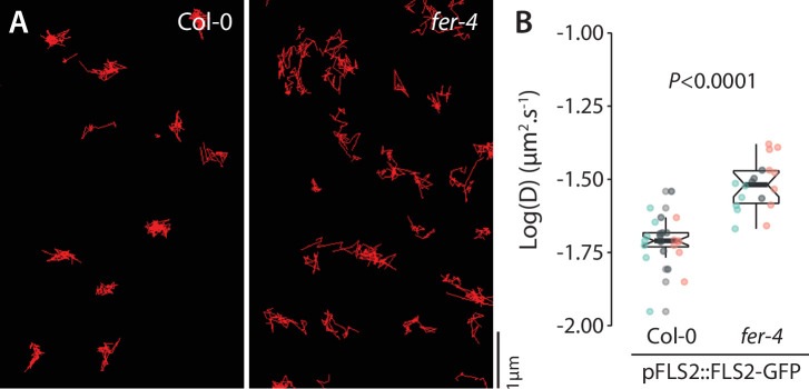 Figure 1—figure supplement 1.