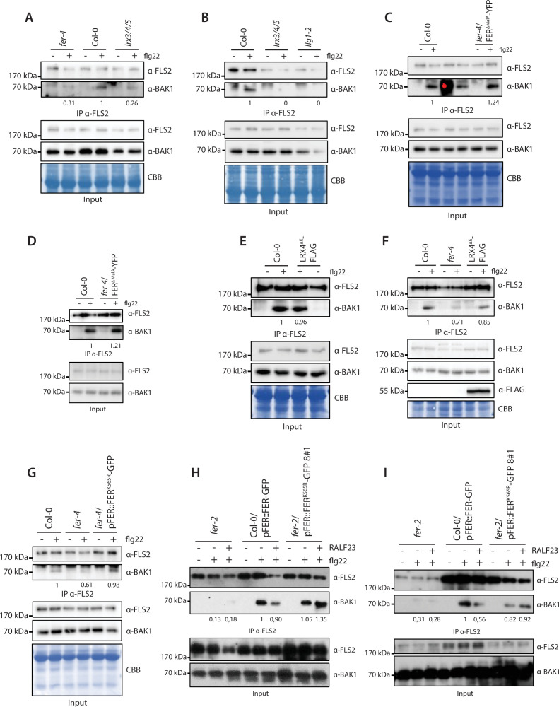 Figure 4—figure supplement 8.