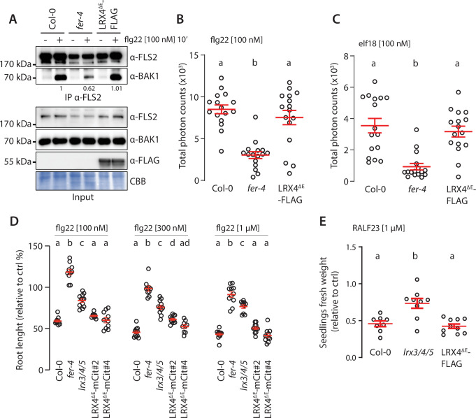 Figure 3—figure supplement 1.