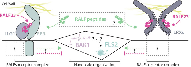 Figure 4—figure supplement 6.