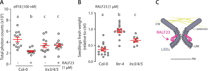 Figure 2—figure supplement 4.