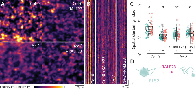 Figure 4—figure supplement 4.