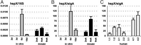 Fig. 8.