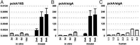 Fig. 6.