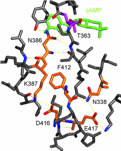 Fig. 4.