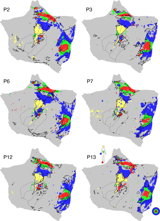 Figure 21.
