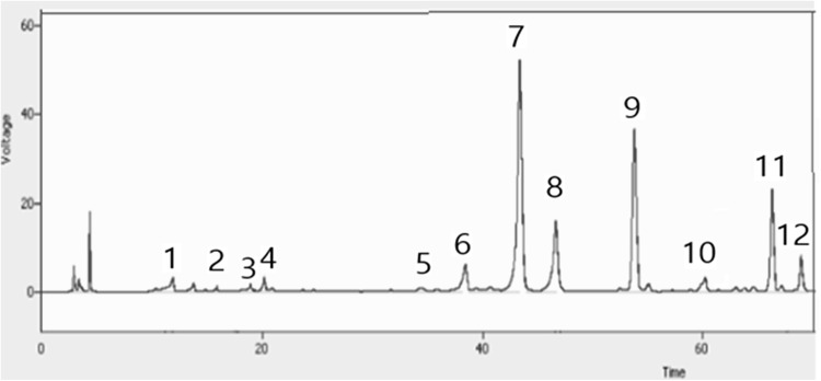 Fig. 1