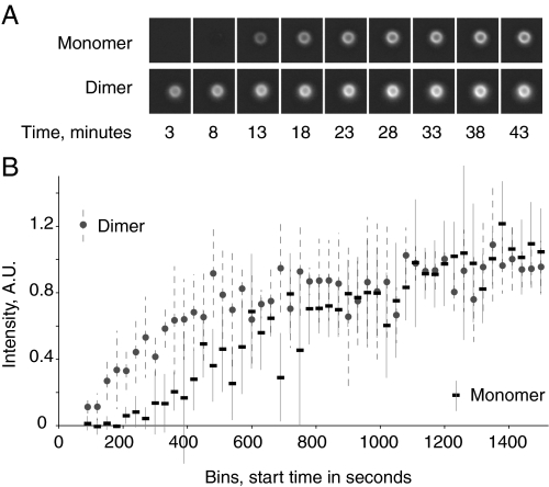 FIGURE 5.