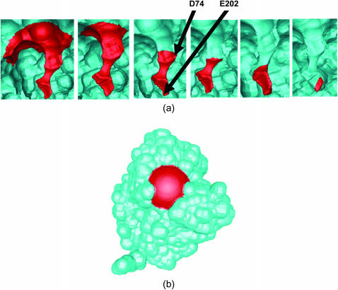 FIGURE 3