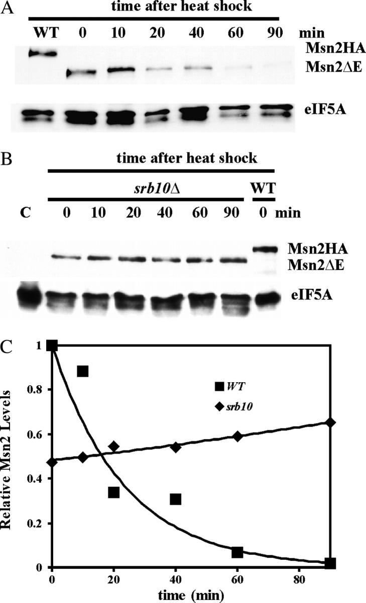 Figure 7.—