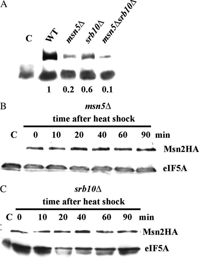 Figure 4.—