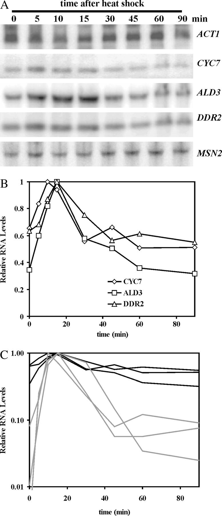 Figure 6.—