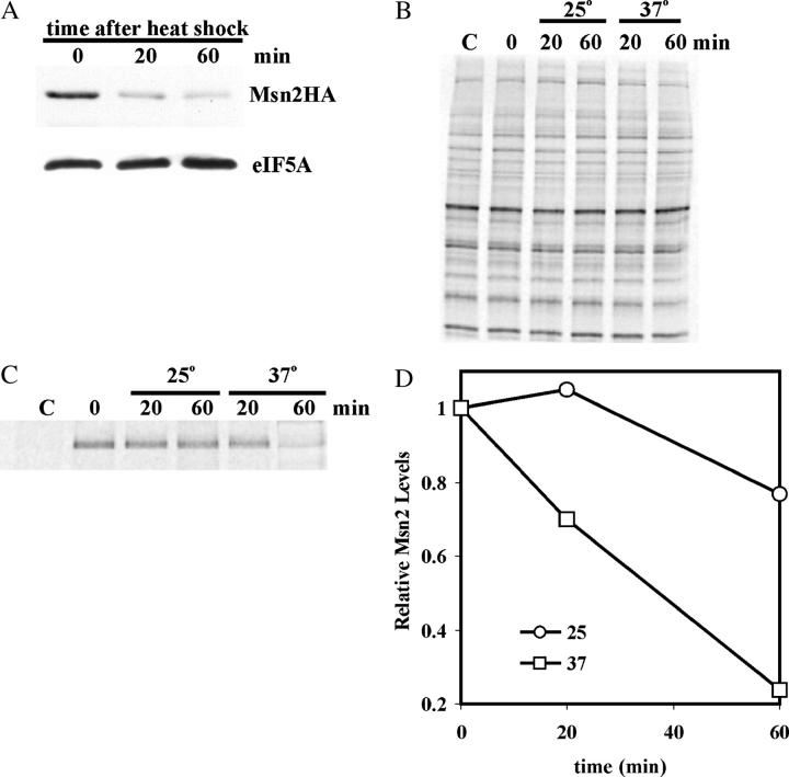 Figure 3.—