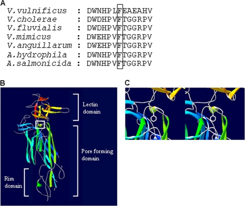 FIG. 7.