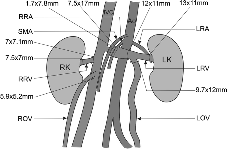 Fig. 4