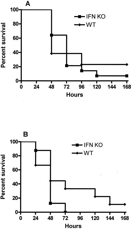 FIG. 9.