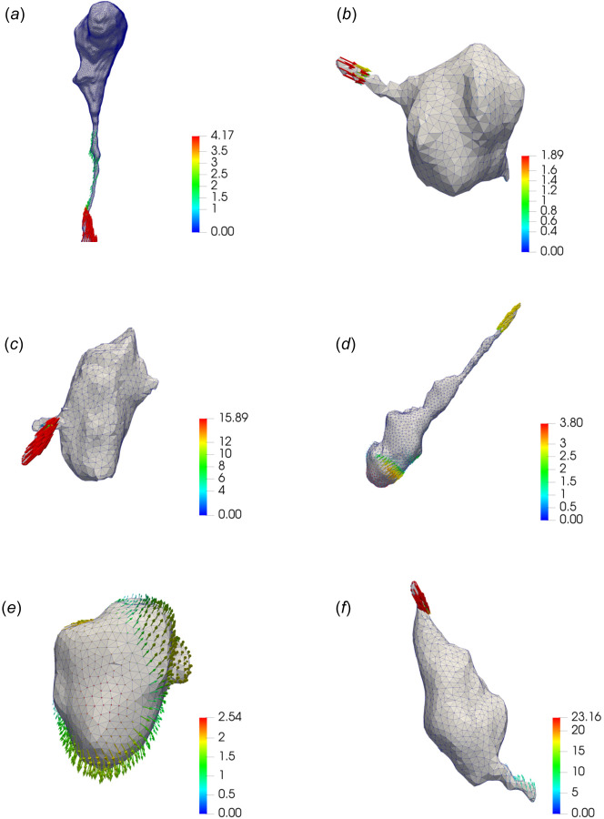 Recovered traction fields (in kPa) for NIH 3T3 cells fully encapsulated in the soft ((a) and (b)), medium ((c) and (d)), and stiff ((e) and (f)) dextran-based hydrogel matrices. All the results are obtained by means of the new TFM algorithm (NL-CUR).