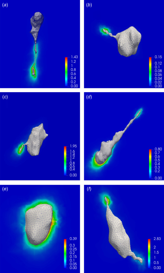 Strain energy density (in kPa) on the 2D cross sections of hydrogel matrices surrounding the NIH 3T3 cells. Results are shown for the soft ((a) and (b)), medium ((c) and (d)), and stiff ((e) and (f)) hydrogels. All the results are obtained by means of the new TFM algorithm (NL-CUR).