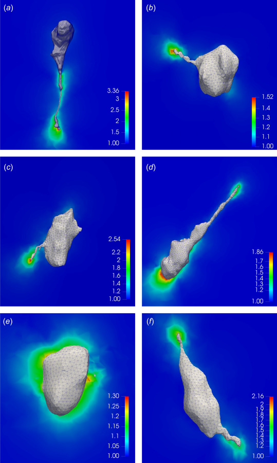 First principal stretch on the 2D cross sections of hydrogel matrices surrounding the NIH 3T3 cells. Results are shown for the soft ((a) and (b)), medium ((c) and (d)), and stiff ((e) and (f)) hydrogels. All the results are obtained by means of the new TFM algorithm (NL-CUR).